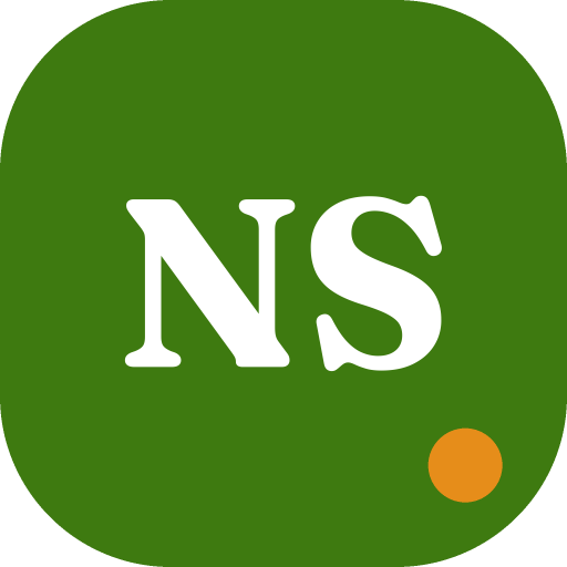 North Shore Boat Paint logo